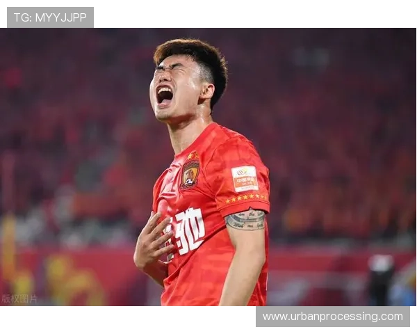 狼队关键球员近期表现稳健，攻防两端作用显著