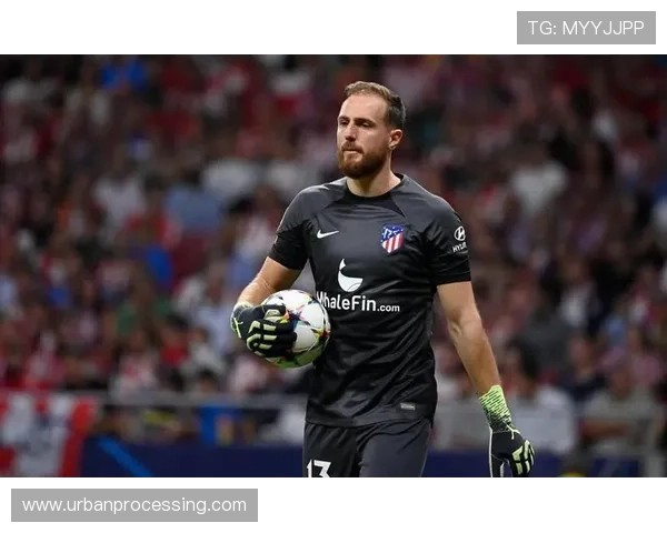 奥布拉克是否斯洛文尼亚国家队历史最佳门将